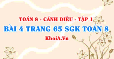 Bài 4 trang 65 SGK Toán 8 tập 1 Cánh Diều